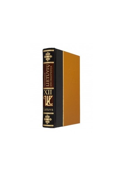 copy of Visuotinė lietuvių enciklopedija. T. XII: Lietuva