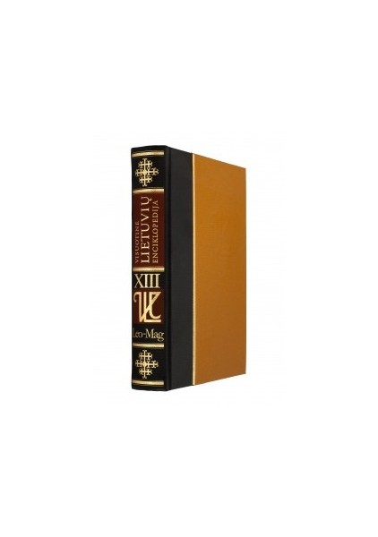 copy of Visuotinė lietuvių enciklopedija. T. XIII: Leo–Mag