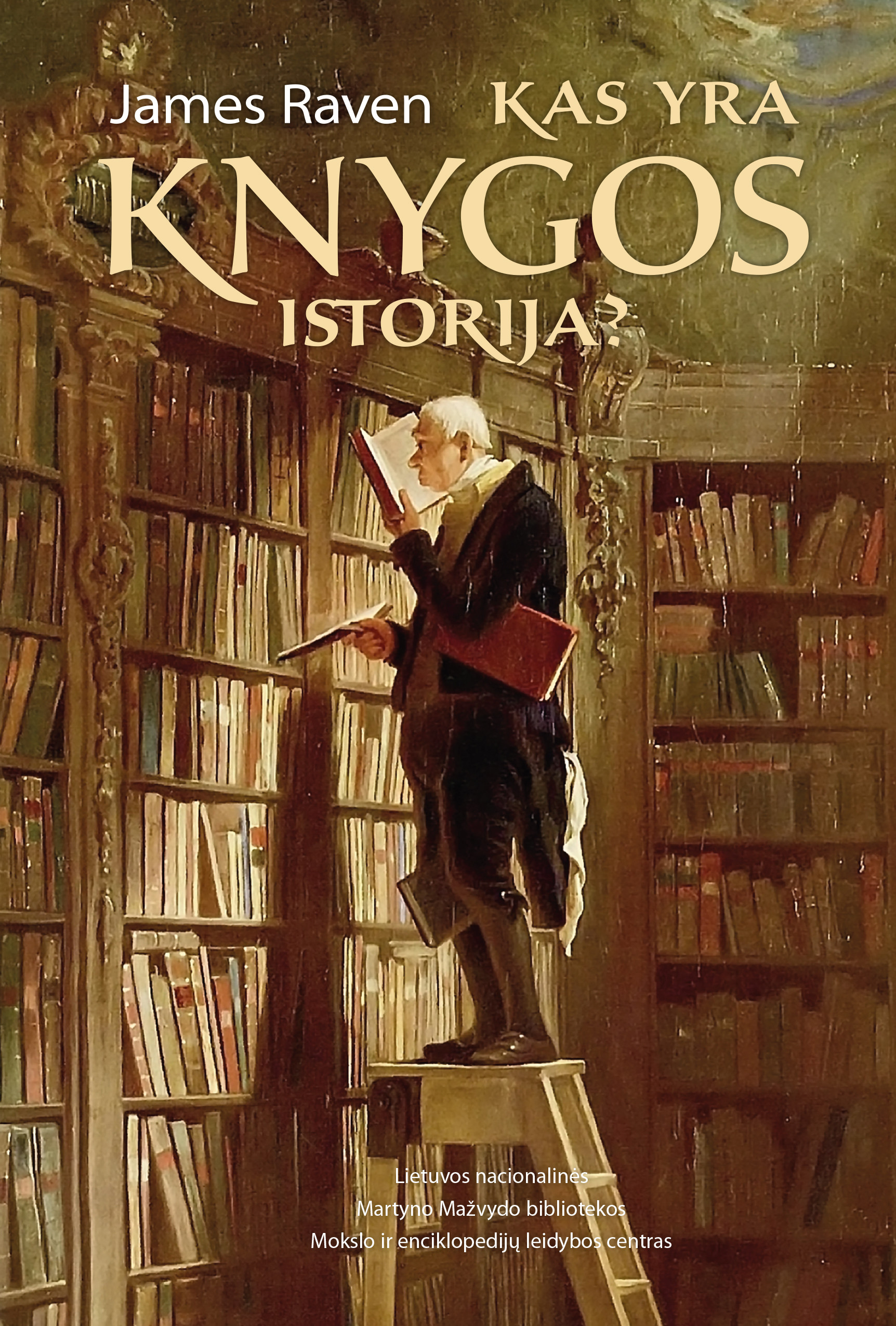 Kas yra knygos istorija?